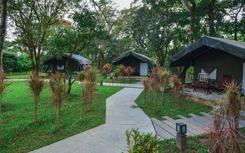 Monica Garden Bungalow, Valparai 5